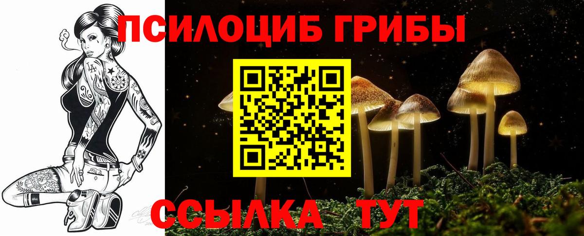 где можно купить   Вход с VPN  Псилоцибиновые грибы Psilocybe  Находка  Псилоцибиновые грибы Psilocybine cubensis 