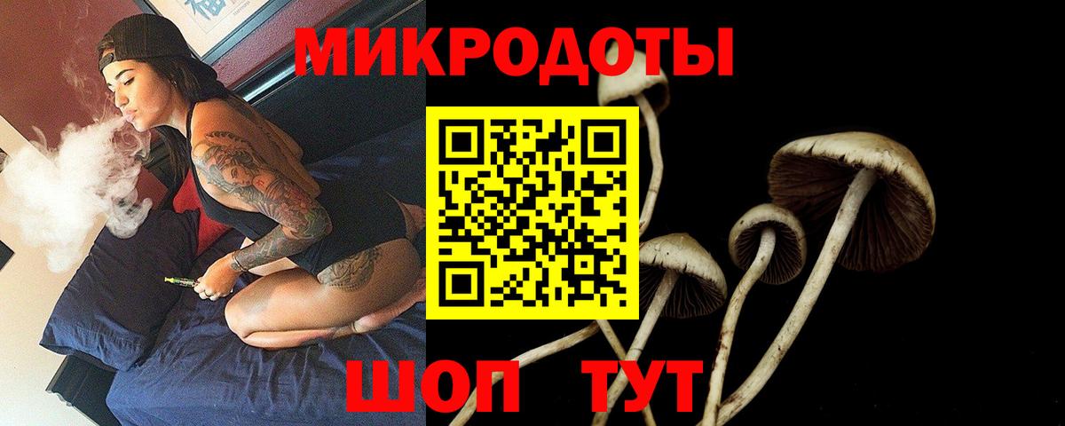 Галлюциногенные грибы прущие грибы Находка